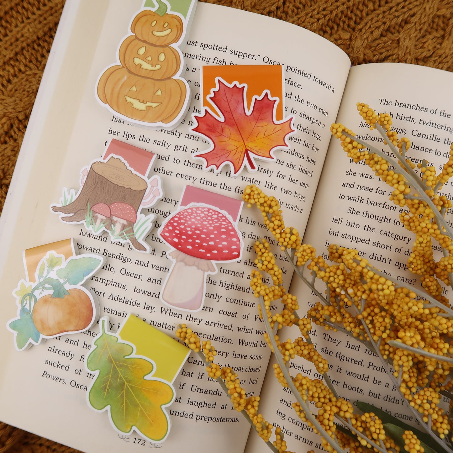 Pumpkin on the Vine - Magnetic Bookmark