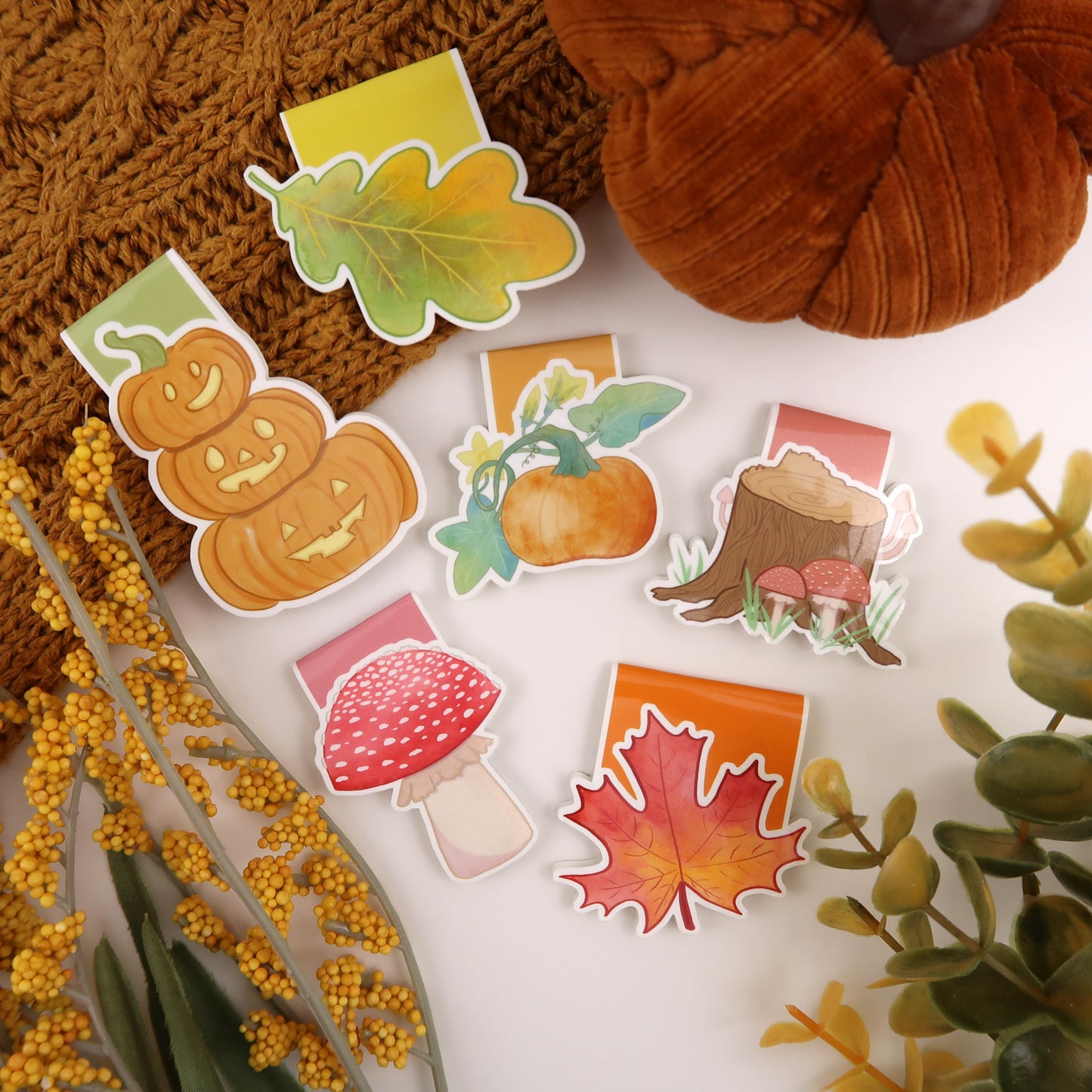 Pumpkin on the Vine - Magnetic Bookmark