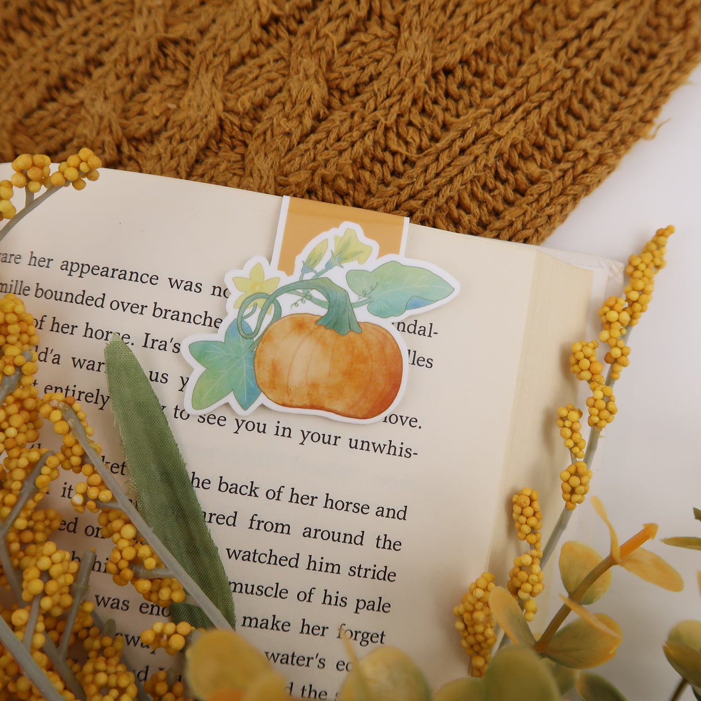 Pumpkin on the Vine - Magnetic Bookmark