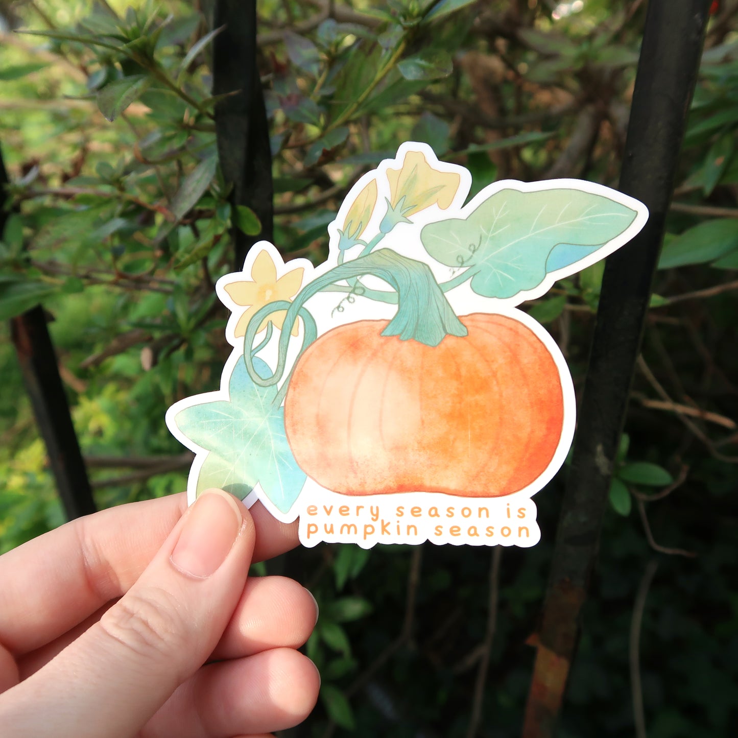 Every Season is Pumpkin Season Glossy Vinyl Die Cut Sticker