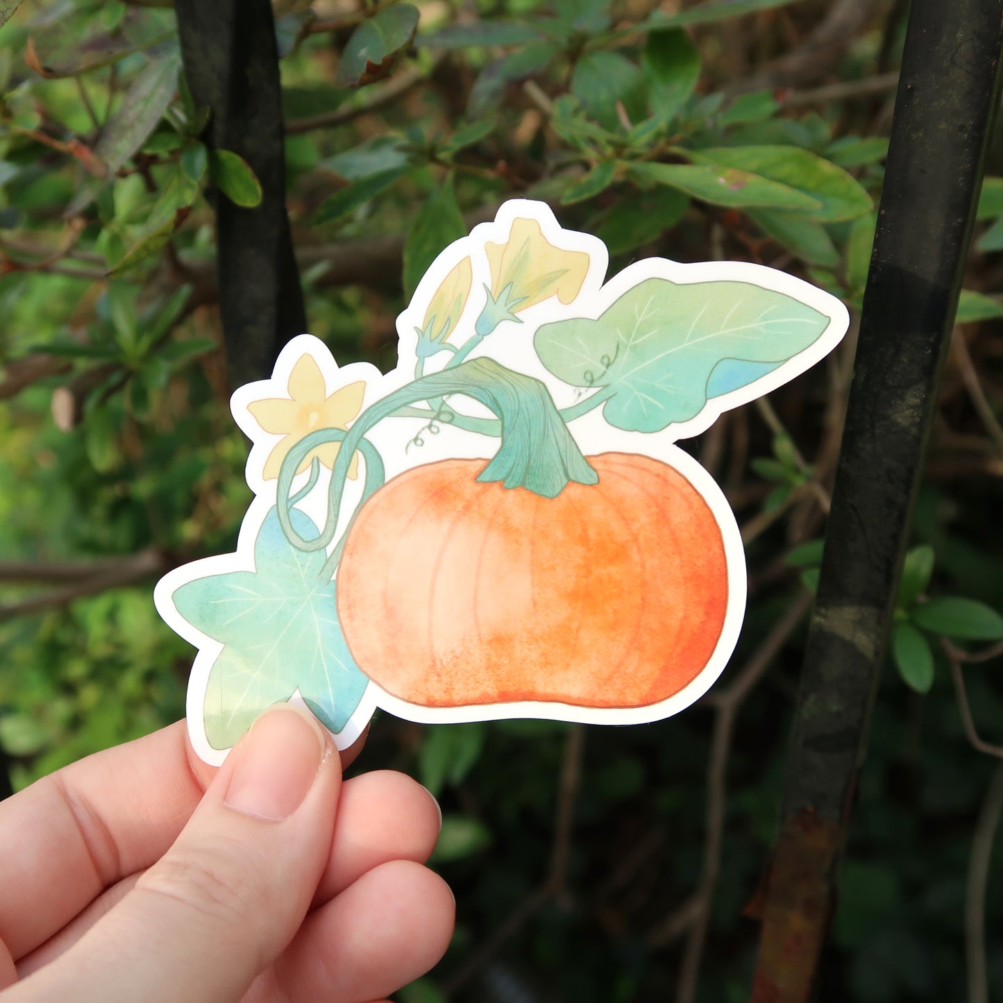 Pumpkin on a Vine Glossy Vinyl Die Cut Sticker