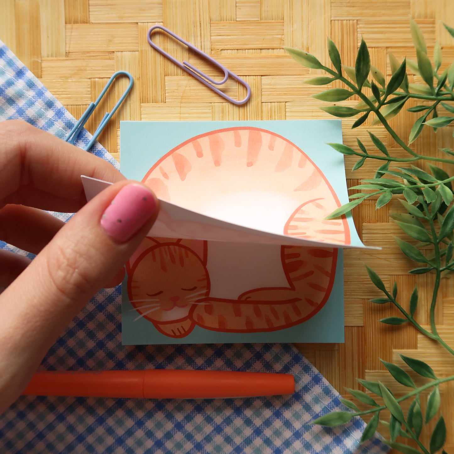 Orange Tabby Loaf Notes - Stationery