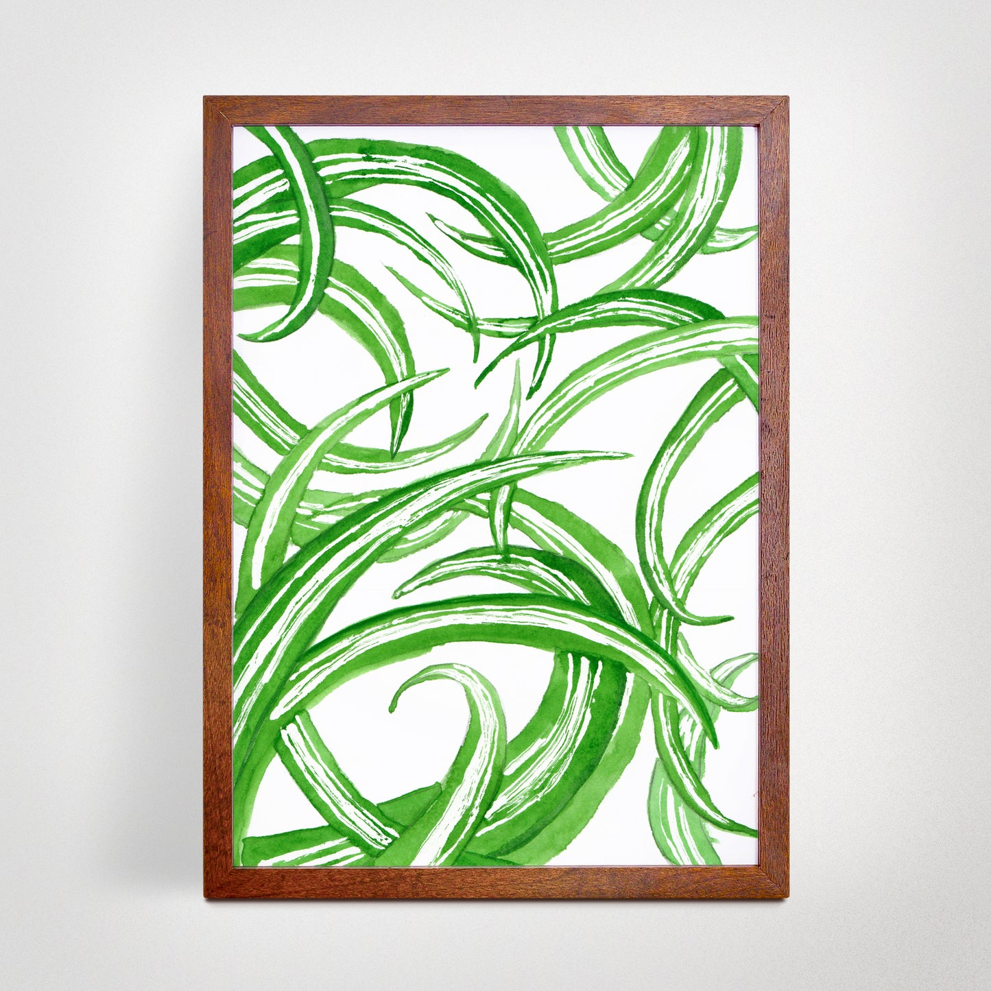 Spider Plant - Watercolor Art Print