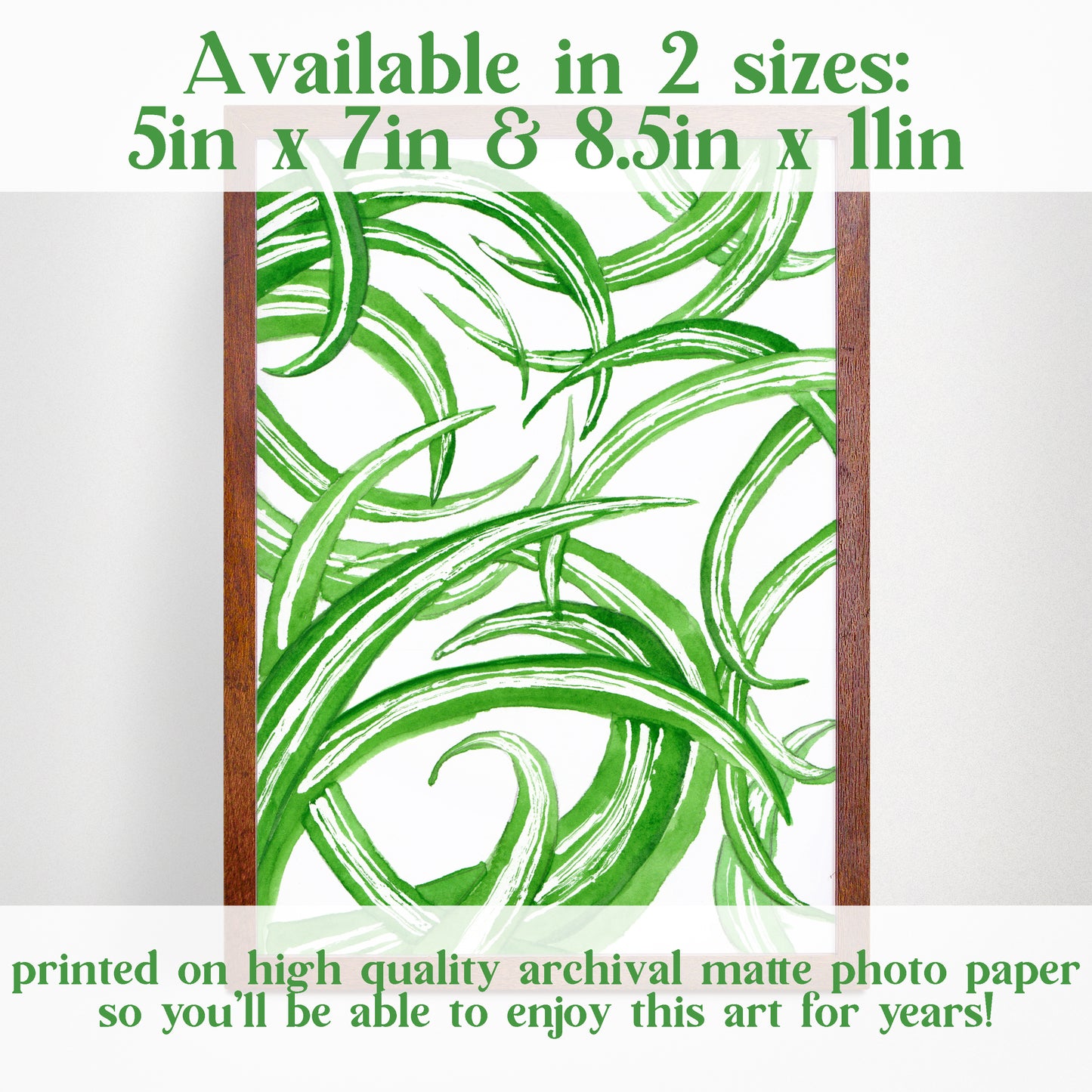 Spider Plant - Watercolor Art Print