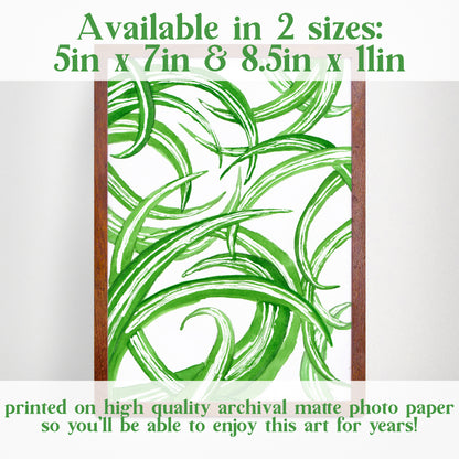 spider plant art Spider Plant