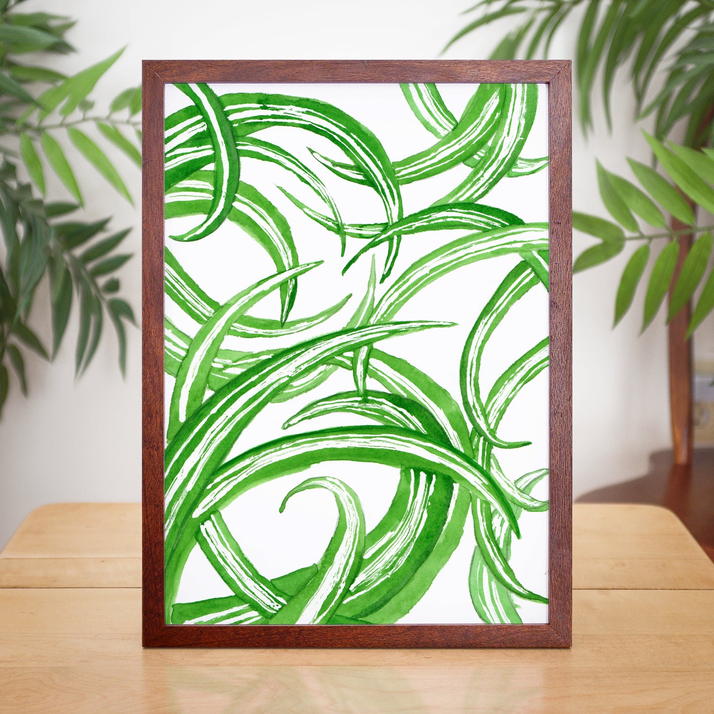 Spider Plant - Watercolor Art Print