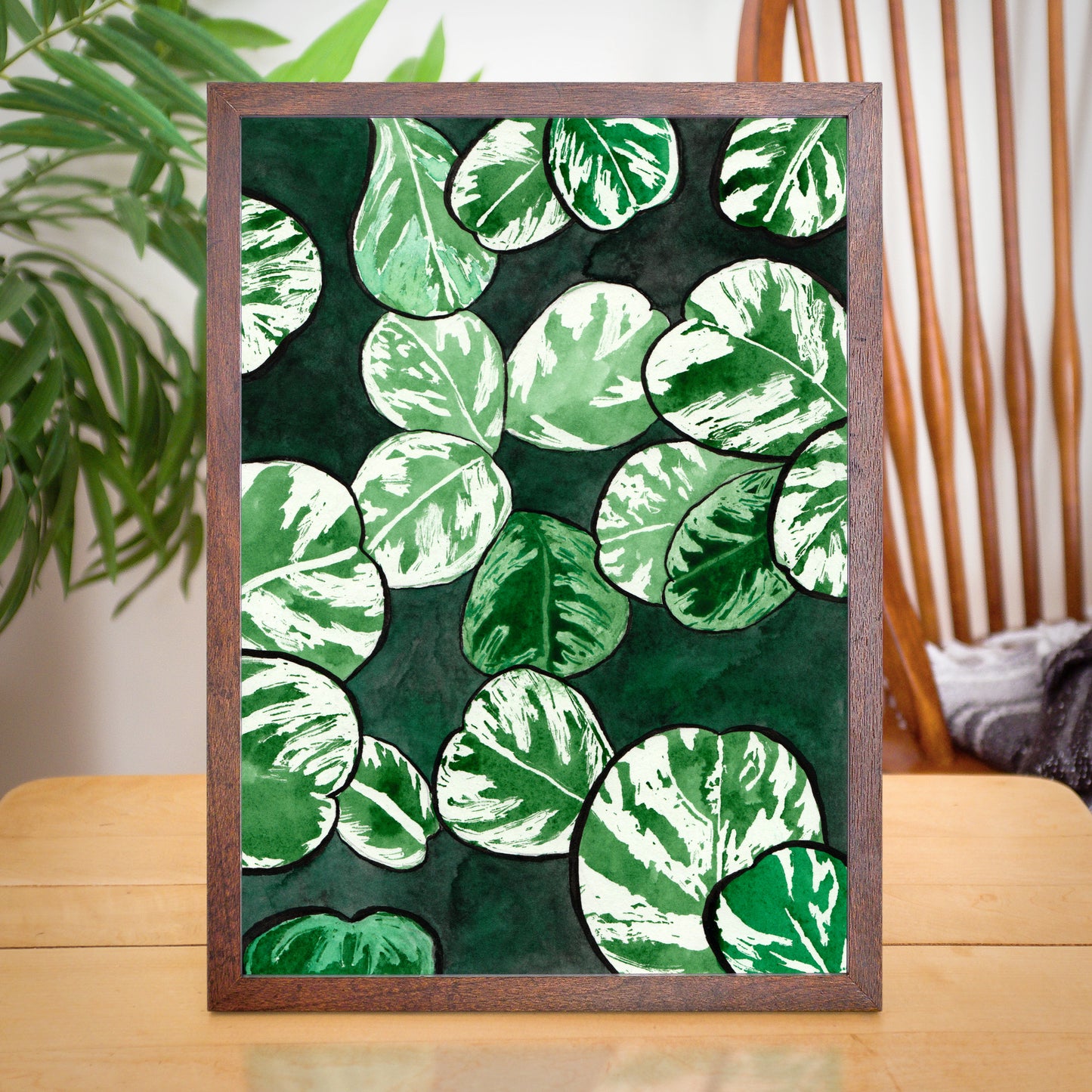 Variegated Peperomia - Watercolor Plant Art Print