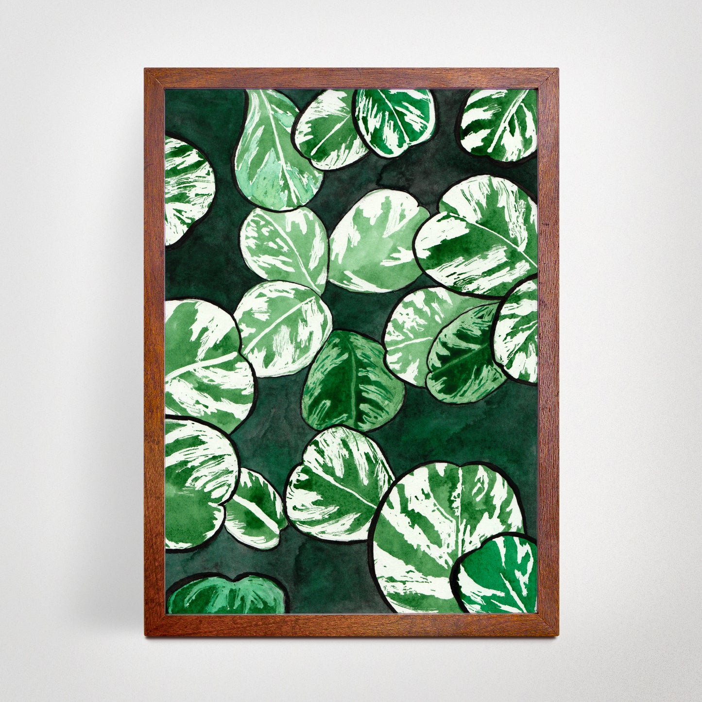 Variegated Peperomia - Watercolor Plant Art Print